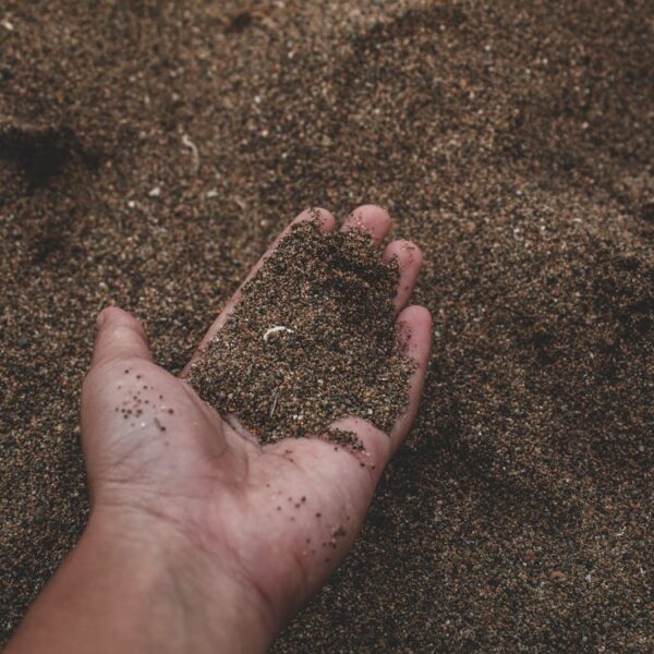 jak-wybrac-i-ile-kosztuje-wywrotka-ziemi-do-ogrodu-poradnik-zakupowy Jak Wybrać i Ile Kosztuje Wywrotka Ziemi do Ogrodu - Poradnik Zakupowy